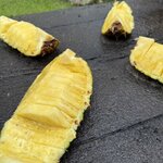 Photo taken by Dana F