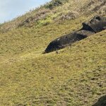 Photo taken by Courtney W