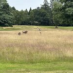 Photo taken by Melody B