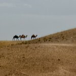 Photo taken by Elaine K