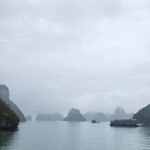 Photo taken by Vinh T