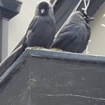 Photo taken by Lori R