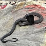 Photo taken by Alan L