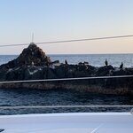 Photo taken by Wendy P