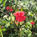 Photo taken by Kaitlin J