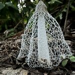 Photo taken by Nicole S