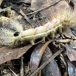 Photo taken by Victoria C