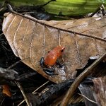 Photo taken by Mathew S