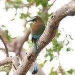 Photo taken by Graeme W