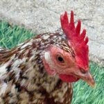 Photo taken by Don M