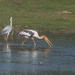 Photo taken by Graham D