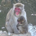 Photo taken by Ramon F