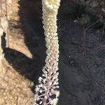 Photo taken by Lori H