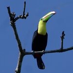 Photo taken by Joyce C