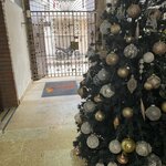 Photo taken by Bincy P