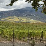 Photo taken by Lisa G