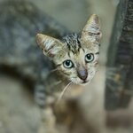 Photo taken by Sophie F