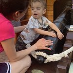 Photo taken by Ray M