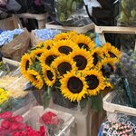 Photo taken by John K