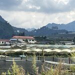 Photo taken by Linda O