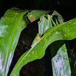 Photo taken by Linda P