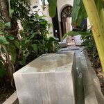 Photo taken by Cynthia F