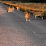 Photo taken by Peter L