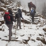 Photo taken by Amy S