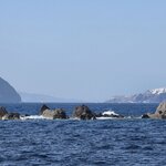 Photo taken by Alekya P