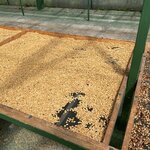 Photo taken by Alexia M