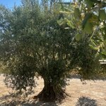 Photo taken by Ellyn A