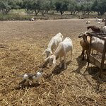 Photo taken by Lexie D