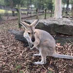 Photo taken by Julie H