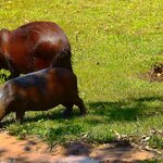 Photo taken by Dennis H