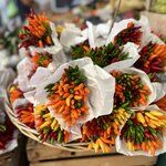 Photo taken by Amanda F