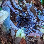 Photo taken by Ciarra N