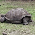 Photo taken by Jayme B