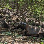 Photo taken by mimi s