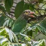 Photo taken by Graham D