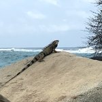 Photo taken by Sophie E