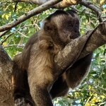 Photo taken by Adriene A