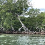 Photo taken by Juliette S