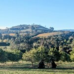 Photo taken by Judy H