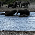 Photo taken by Peter L