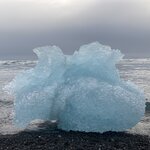 Photo taken by Noelle F