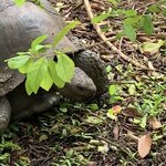 Photo taken by Stephanie A