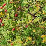 Photo taken by Jose R