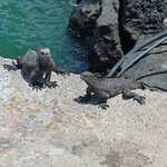 Photo taken by Vinay K