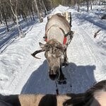 Photo taken by Beth M