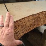 Photo taken by Laura R